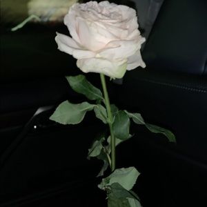 Meet your Posher, Paris